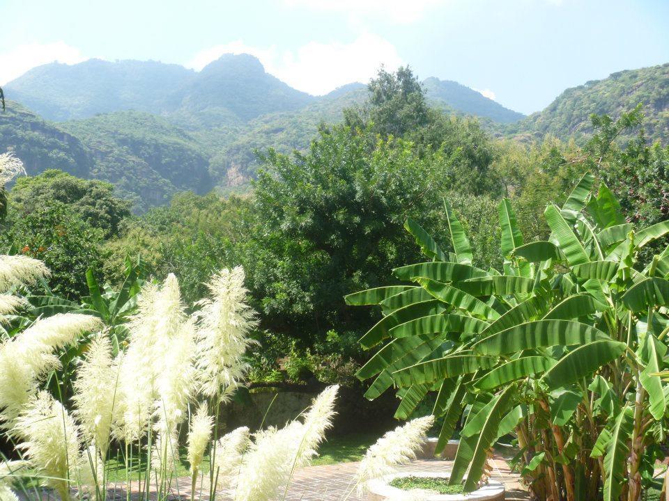 Hotel Boutique Casa De Campo Malinalco Bagian luar foto